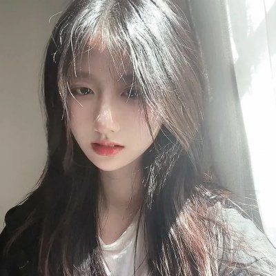 一棵树封面