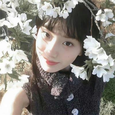 极乐夜生活封面